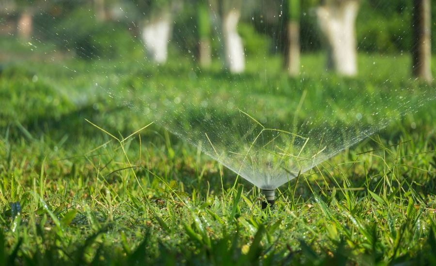 Image of in-ground sprinkler