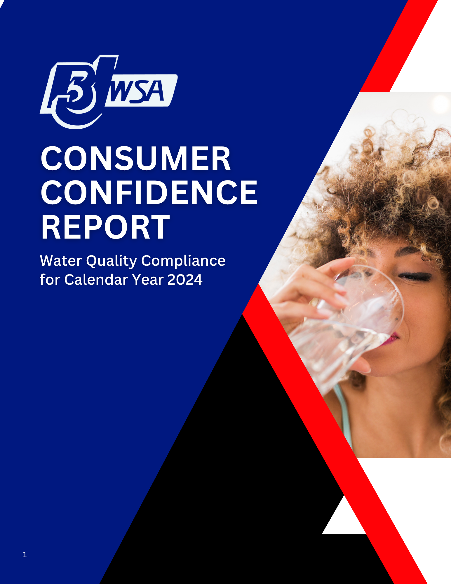 Image of front cover of Consumer Confidence Report