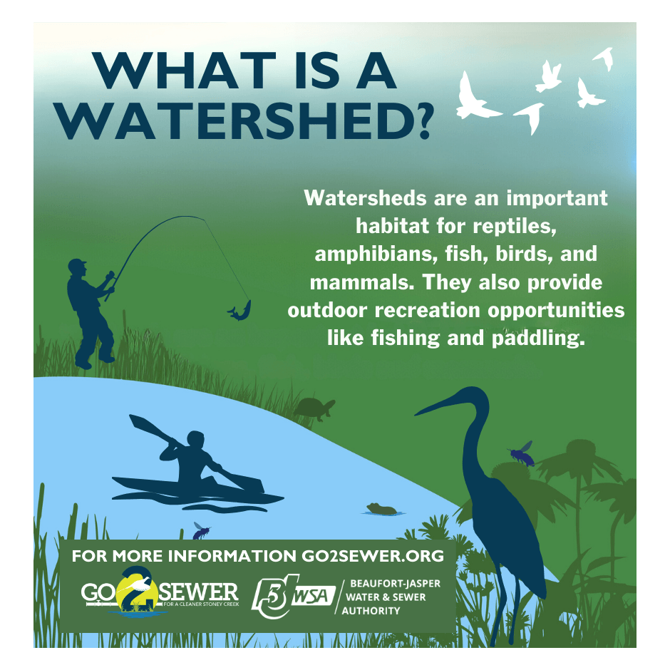 Go2Sewer What is a Watershed